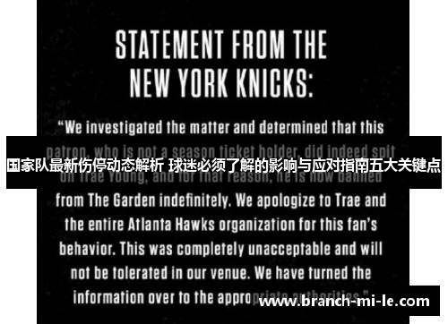 国家队最新伤停动态解析 球迷必须了解的影响与应对指南五大关键点