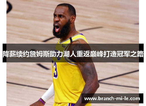 降薪续约詹姆斯助力湖人重返巅峰打造冠军之路